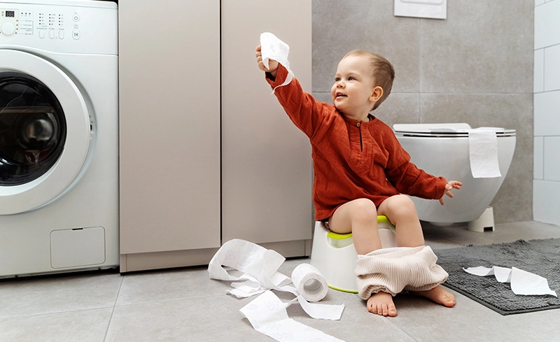 Toilet Bowl Cleaner Online